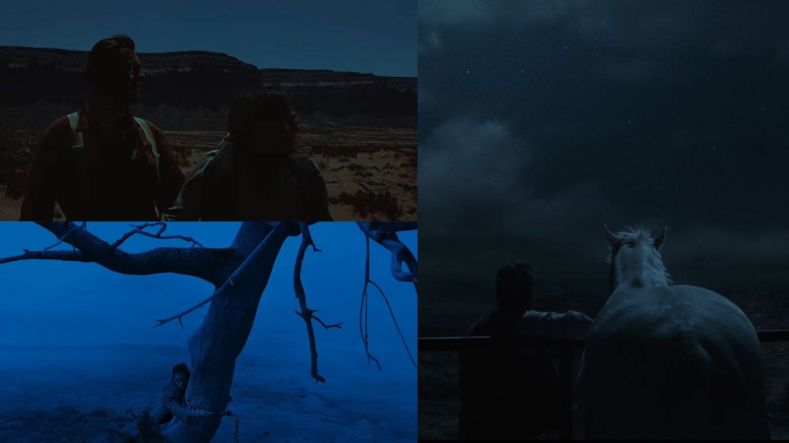 Portada de Noche americana: cómo filmar de noche a pleno sol